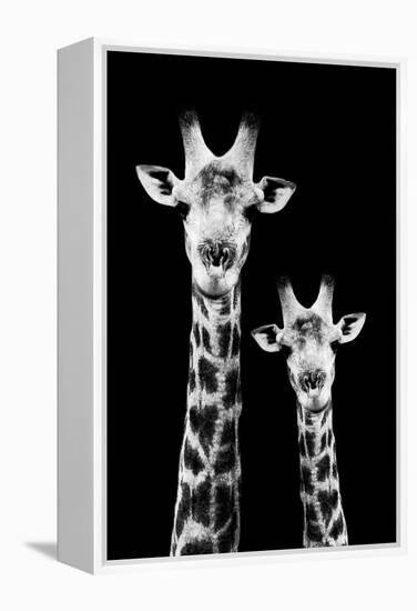 Safari Profile Collection - Portrait of Giraffe and Baby Black Edition IV-Philippe Hugonnard-Framed Premier Image Canvas