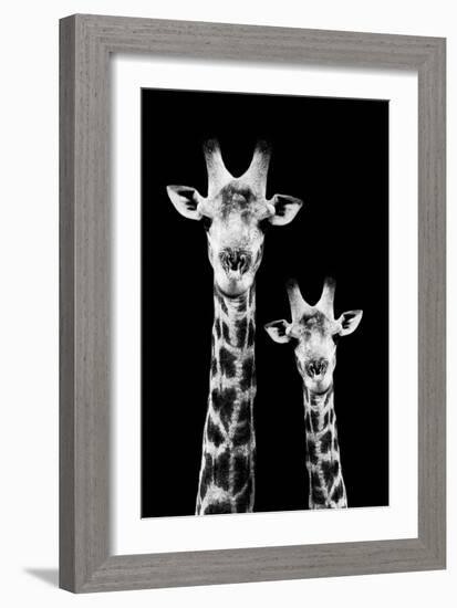 Safari Profile Collection - Portrait of Giraffe and Baby Black Edition IV-Philippe Hugonnard-Framed Photographic Print