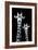 Safari Profile Collection - Portrait of Giraffe and Baby Black Edition IV-Philippe Hugonnard-Framed Photographic Print