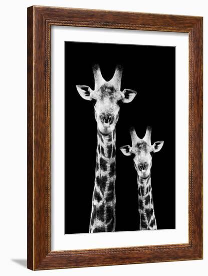 Safari Profile Collection - Portrait of Giraffe and Baby Black Edition IV-Philippe Hugonnard-Framed Photographic Print