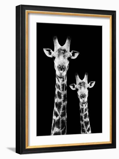 Safari Profile Collection - Portrait of Giraffe and Baby Black Edition IV-Philippe Hugonnard-Framed Photographic Print