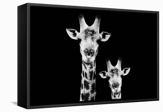 Safari Profile Collection - Portrait of Giraffe and Baby Black Edition VI-Philippe Hugonnard-Framed Premier Image Canvas