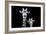 Safari Profile Collection - Portrait of Giraffe and Baby Black Edition VI-Philippe Hugonnard-Framed Photographic Print