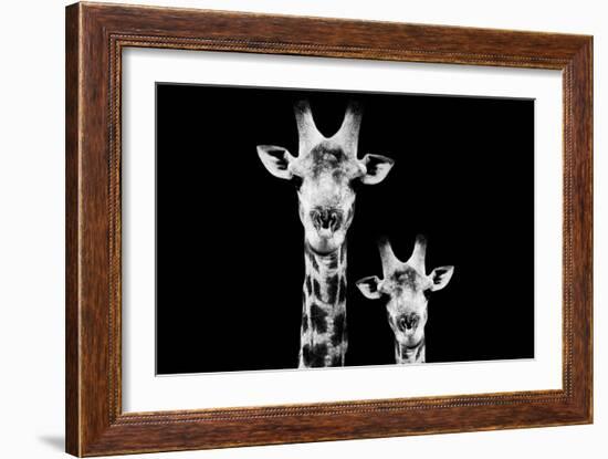 Safari Profile Collection - Portrait of Giraffe and Baby Black Edition VI-Philippe Hugonnard-Framed Photographic Print