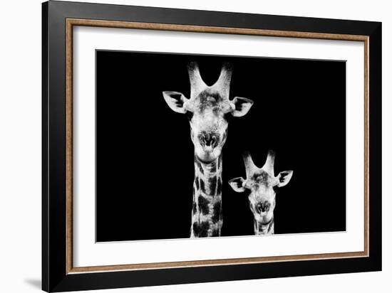 Safari Profile Collection - Portrait of Giraffe and Baby Black Edition VI-Philippe Hugonnard-Framed Photographic Print