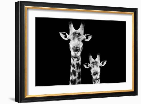 Safari Profile Collection - Portrait of Giraffe and Baby Black Edition VI-Philippe Hugonnard-Framed Photographic Print