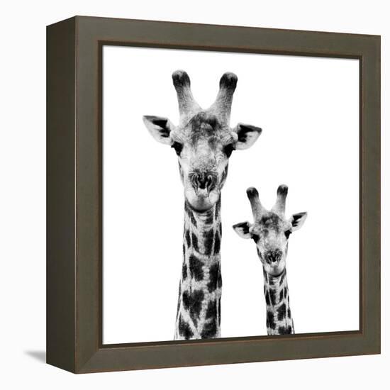 Safari Profile Collection - Portrait of Giraffe and Baby White Edition II-Philippe Hugonnard-Framed Premier Image Canvas