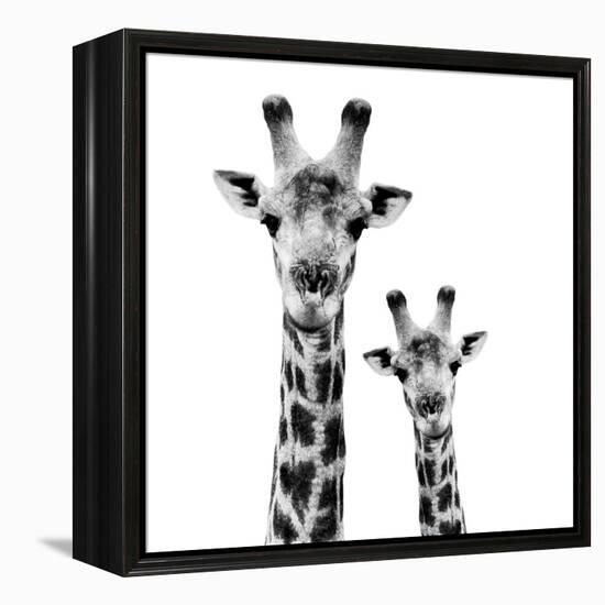 Safari Profile Collection - Portrait of Giraffe and Baby White Edition II-Philippe Hugonnard-Framed Premier Image Canvas