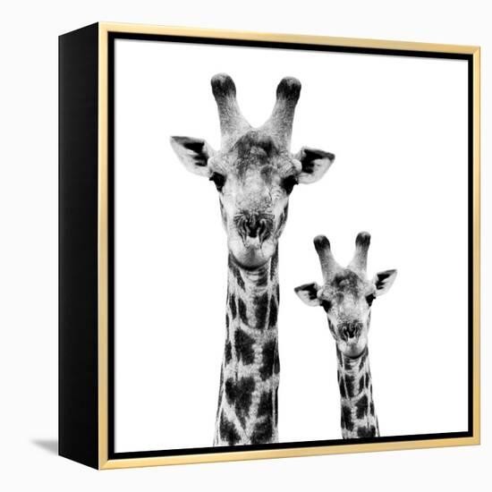 Safari Profile Collection - Portrait of Giraffe and Baby White Edition II-Philippe Hugonnard-Framed Premier Image Canvas