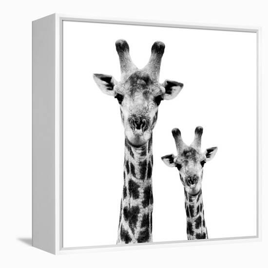 Safari Profile Collection - Portrait of Giraffe and Baby White Edition II-Philippe Hugonnard-Framed Premier Image Canvas