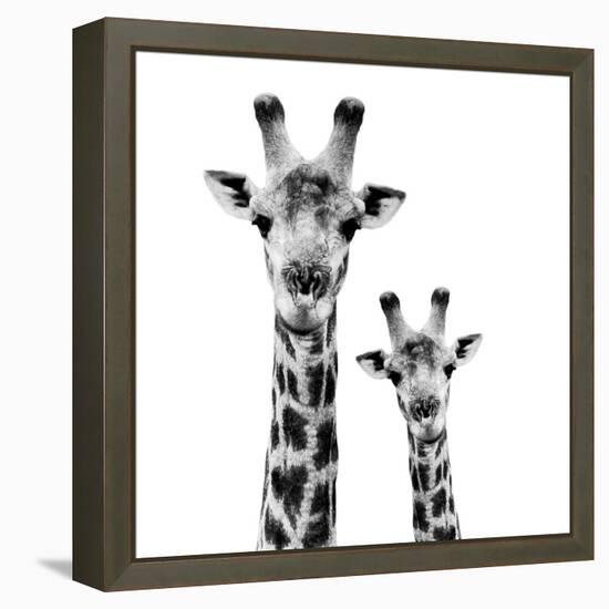 Safari Profile Collection - Portrait of Giraffe and Baby White Edition II-Philippe Hugonnard-Framed Premier Image Canvas