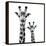 Safari Profile Collection - Portrait of Giraffe and Baby White Edition II-Philippe Hugonnard-Framed Premier Image Canvas