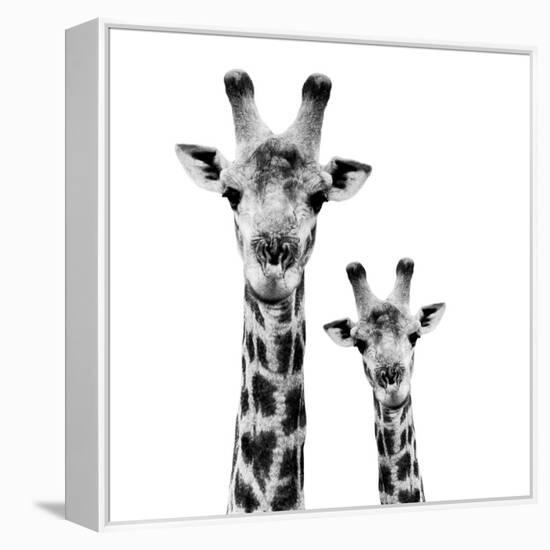 Safari Profile Collection - Portrait of Giraffe and Baby White Edition II-Philippe Hugonnard-Framed Premier Image Canvas