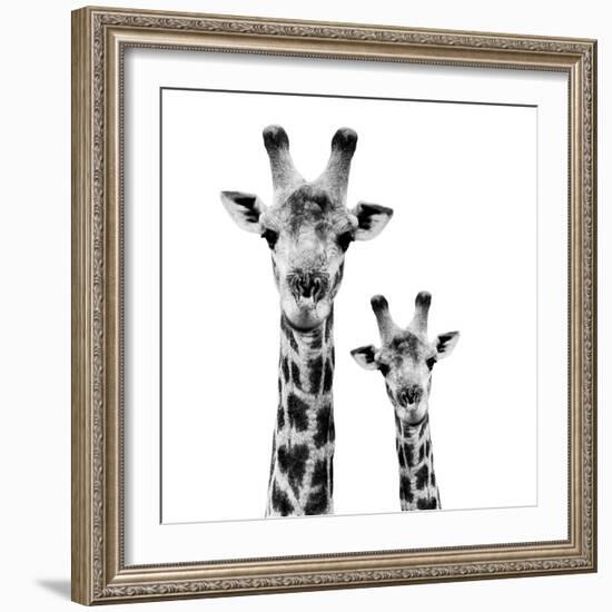 Safari Profile Collection - Portrait of Giraffe and Baby White Edition II-Philippe Hugonnard-Framed Photographic Print