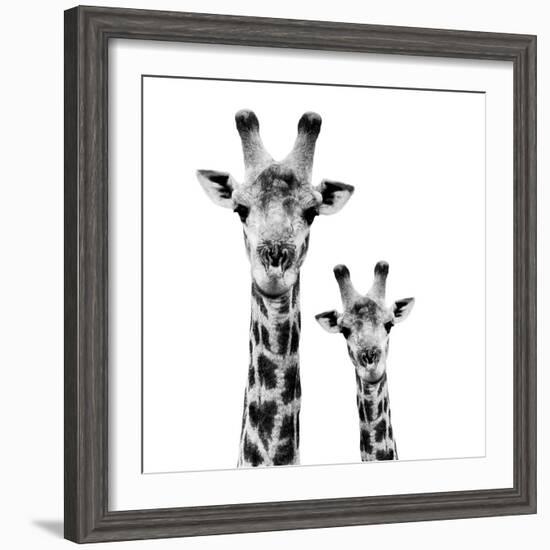 Safari Profile Collection - Portrait of Giraffe and Baby White Edition II-Philippe Hugonnard-Framed Photographic Print