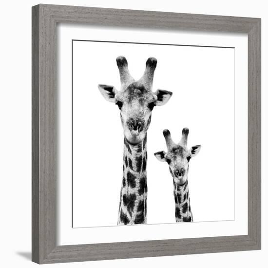 Safari Profile Collection - Portrait of Giraffe and Baby White Edition II-Philippe Hugonnard-Framed Photographic Print