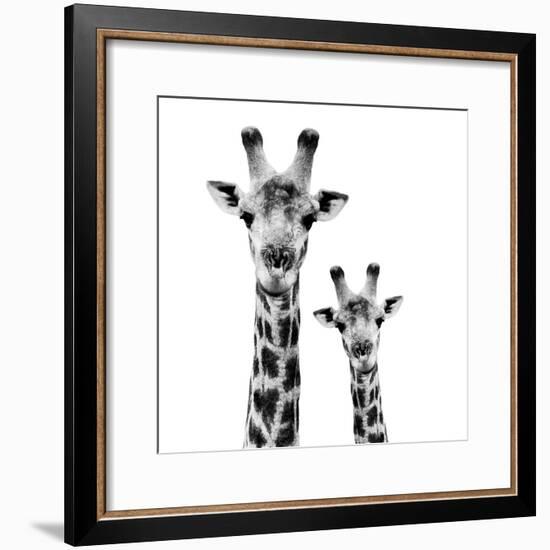 Safari Profile Collection - Portrait of Giraffe and Baby White Edition II-Philippe Hugonnard-Framed Photographic Print