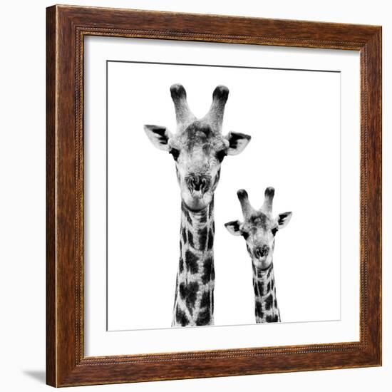 Safari Profile Collection - Portrait of Giraffe and Baby White Edition II-Philippe Hugonnard-Framed Photographic Print