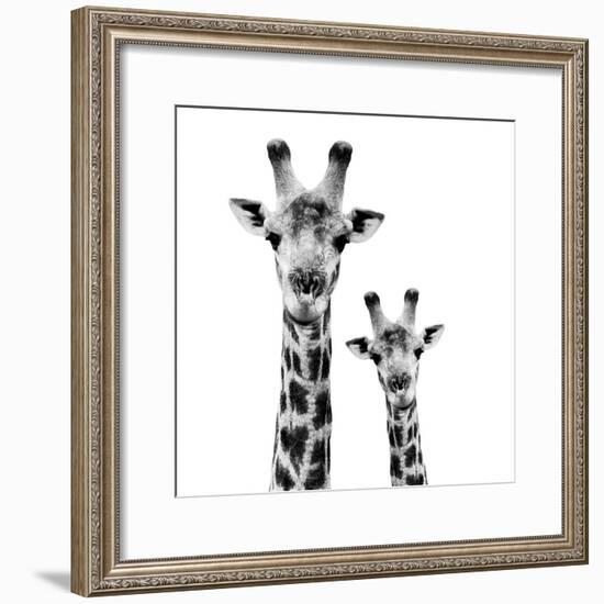 Safari Profile Collection - Portrait of Giraffe and Baby White Edition II-Philippe Hugonnard-Framed Photographic Print