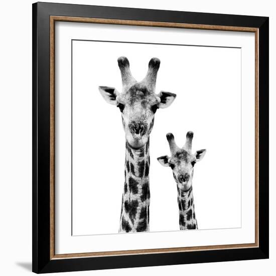 Safari Profile Collection - Portrait of Giraffe and Baby White Edition II-Philippe Hugonnard-Framed Photographic Print