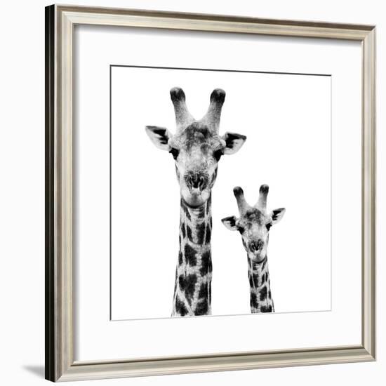 Safari Profile Collection - Portrait of Giraffe and Baby White Edition II-Philippe Hugonnard-Framed Photographic Print