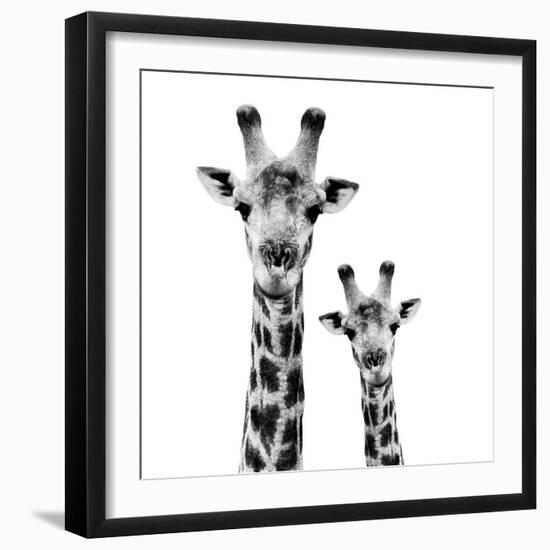 Safari Profile Collection - Portrait of Giraffe and Baby White Edition II-Philippe Hugonnard-Framed Photographic Print