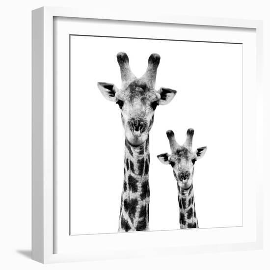 Safari Profile Collection - Portrait of Giraffe and Baby White Edition II-Philippe Hugonnard-Framed Photographic Print