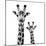Safari Profile Collection - Portrait of Giraffe and Baby White Edition II-Philippe Hugonnard-Mounted Photographic Print
