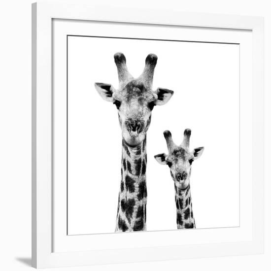 Safari Profile Collection - Portrait of Giraffe and Baby White Edition II-Philippe Hugonnard-Framed Giclee Print