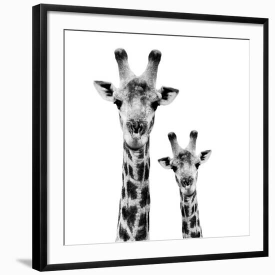 Safari Profile Collection - Portrait of Giraffe and Baby White Edition II-Philippe Hugonnard-Framed Giclee Print