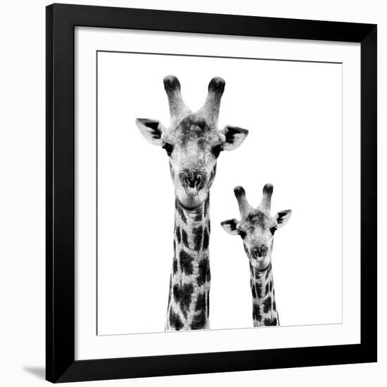 Safari Profile Collection - Portrait of Giraffe and Baby White Edition II-Philippe Hugonnard-Framed Giclee Print