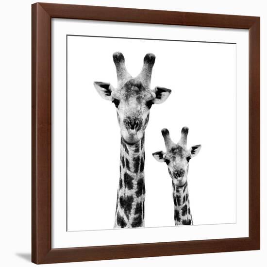 Safari Profile Collection - Portrait of Giraffe and Baby White Edition II-Philippe Hugonnard-Framed Giclee Print
