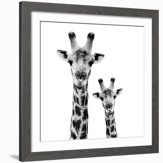 Safari Profile Collection - Portrait of Giraffe and Baby White Edition II-Philippe Hugonnard-Framed Giclee Print