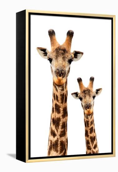 Safari Profile Collection - Portrait of Giraffe and Baby White Edition III-Philippe Hugonnard-Framed Premier Image Canvas