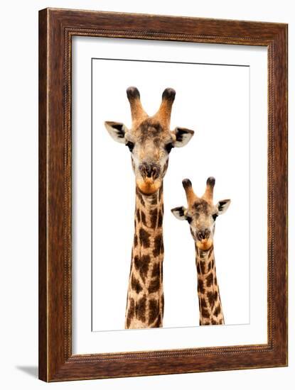 Safari Profile Collection - Portrait of Giraffe and Baby White Edition III-Philippe Hugonnard-Framed Photographic Print