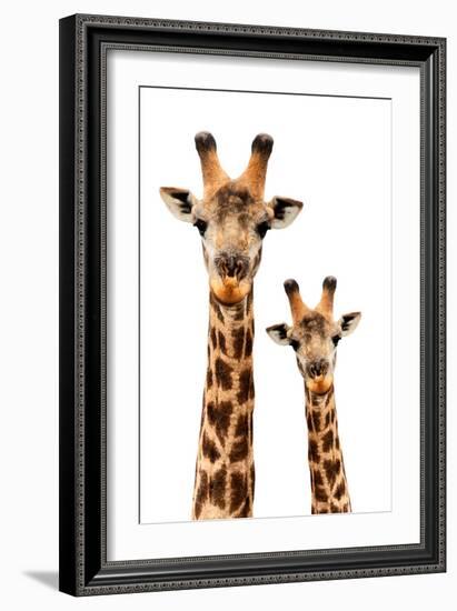 Safari Profile Collection - Portrait of Giraffe and Baby White Edition III-Philippe Hugonnard-Framed Photographic Print