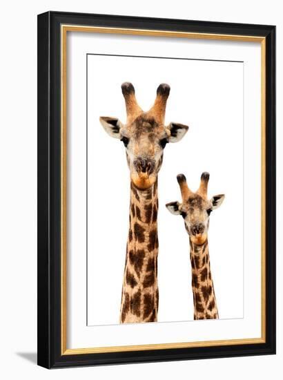 Safari Profile Collection - Portrait of Giraffe and Baby White Edition III-Philippe Hugonnard-Framed Photographic Print