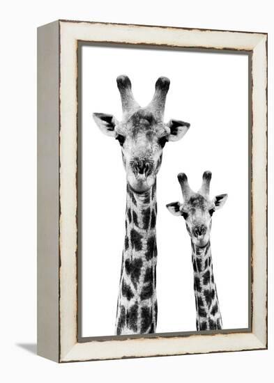 Safari Profile Collection - Portrait of Giraffe and Baby White Edition IV-Philippe Hugonnard-Framed Premier Image Canvas