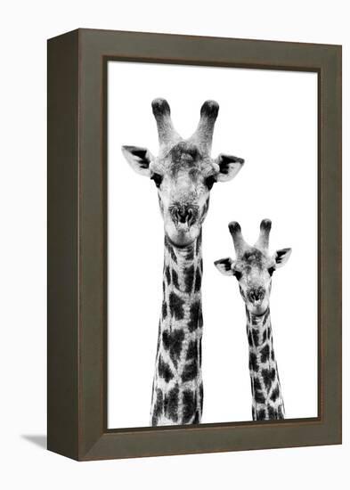 Safari Profile Collection - Portrait of Giraffe and Baby White Edition IV-Philippe Hugonnard-Framed Premier Image Canvas