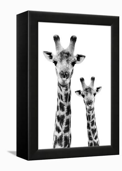 Safari Profile Collection - Portrait of Giraffe and Baby White Edition IV-Philippe Hugonnard-Framed Premier Image Canvas