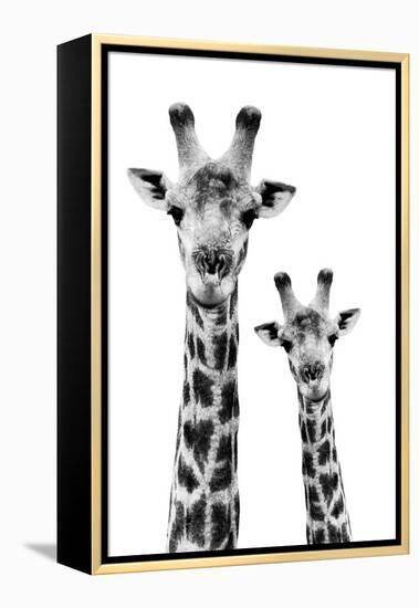 Safari Profile Collection - Portrait of Giraffe and Baby White Edition IV-Philippe Hugonnard-Framed Premier Image Canvas