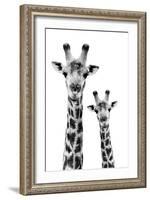 Safari Profile Collection - Portrait of Giraffe and Baby White Edition IV-Philippe Hugonnard-Framed Photographic Print