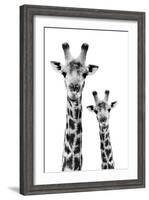Safari Profile Collection - Portrait of Giraffe and Baby White Edition IV-Philippe Hugonnard-Framed Photographic Print