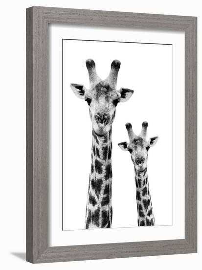 Safari Profile Collection - Portrait of Giraffe and Baby White Edition IV-Philippe Hugonnard-Framed Photographic Print