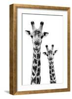 Safari Profile Collection - Portrait of Giraffe and Baby White Edition IV-Philippe Hugonnard-Framed Photographic Print