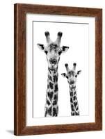 Safari Profile Collection - Portrait of Giraffe and Baby White Edition IV-Philippe Hugonnard-Framed Photographic Print
