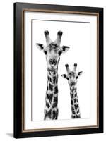 Safari Profile Collection - Portrait of Giraffe and Baby White Edition IV-Philippe Hugonnard-Framed Photographic Print