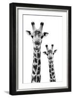 Safari Profile Collection - Portrait of Giraffe and Baby White Edition IV-Philippe Hugonnard-Framed Photographic Print