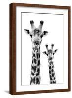 Safari Profile Collection - Portrait of Giraffe and Baby White Edition IV-Philippe Hugonnard-Framed Photographic Print