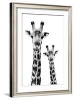 Safari Profile Collection - Portrait of Giraffe and Baby White Edition IV-Philippe Hugonnard-Framed Photographic Print